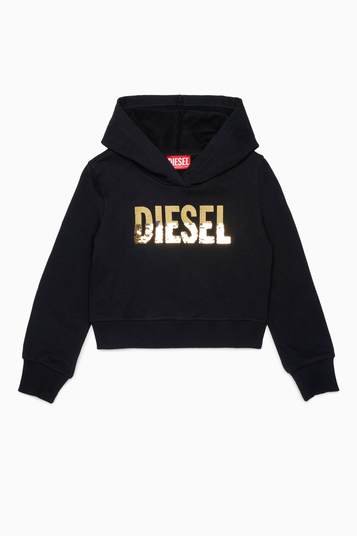 Hooded sweatshirt with logo