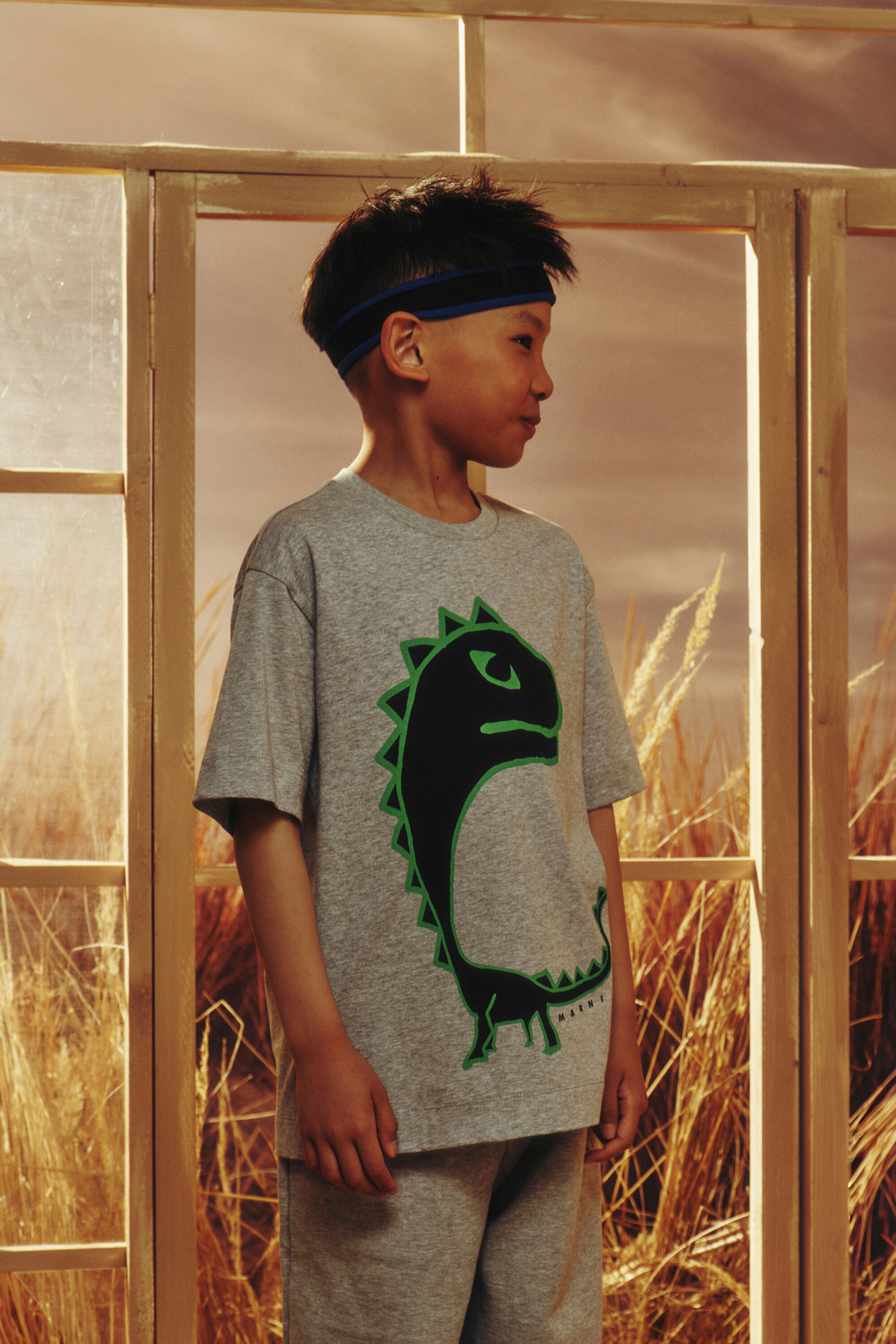 T-shirt à imprimé dinosaure