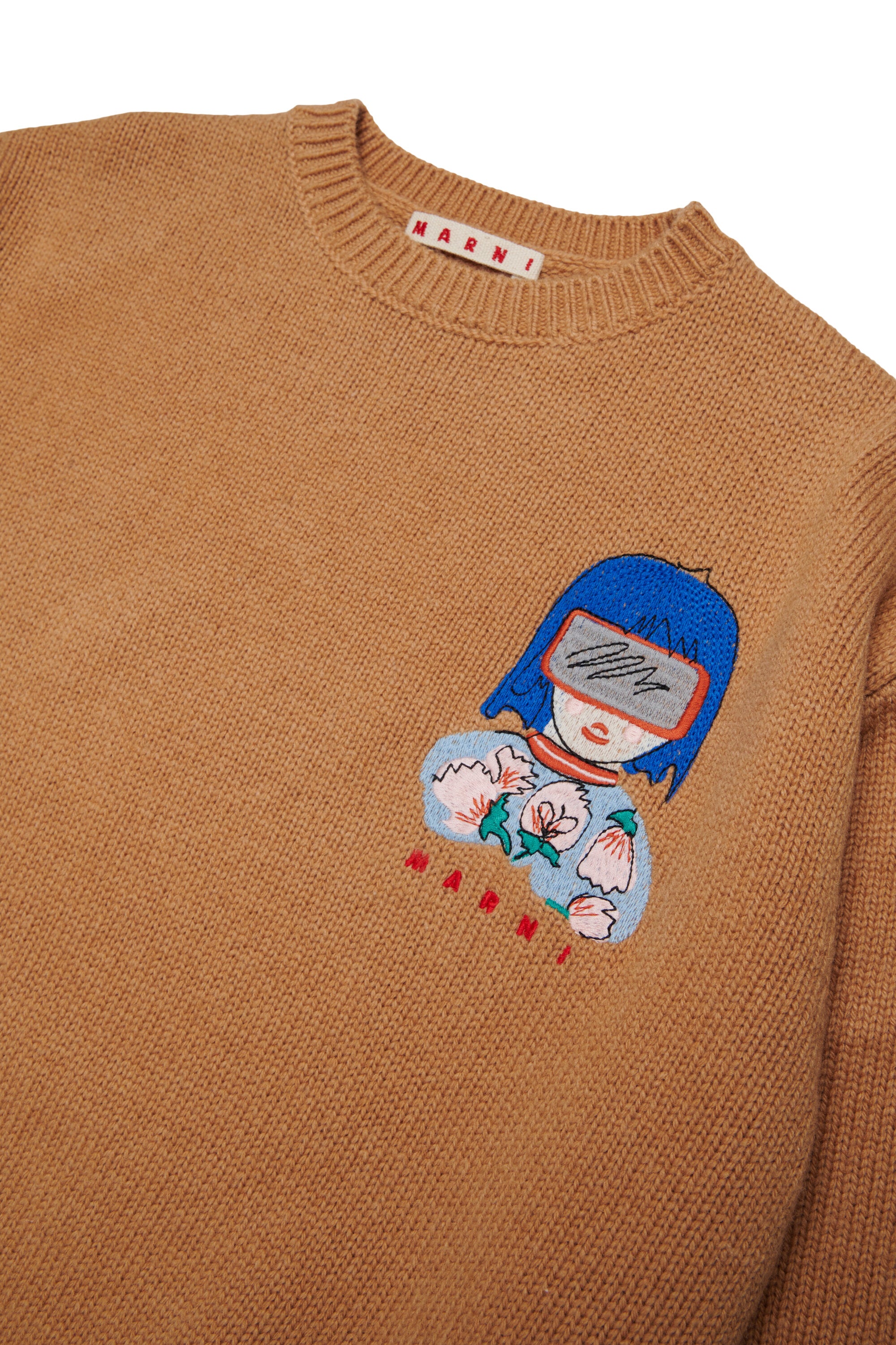 Crewneck pullover with logo