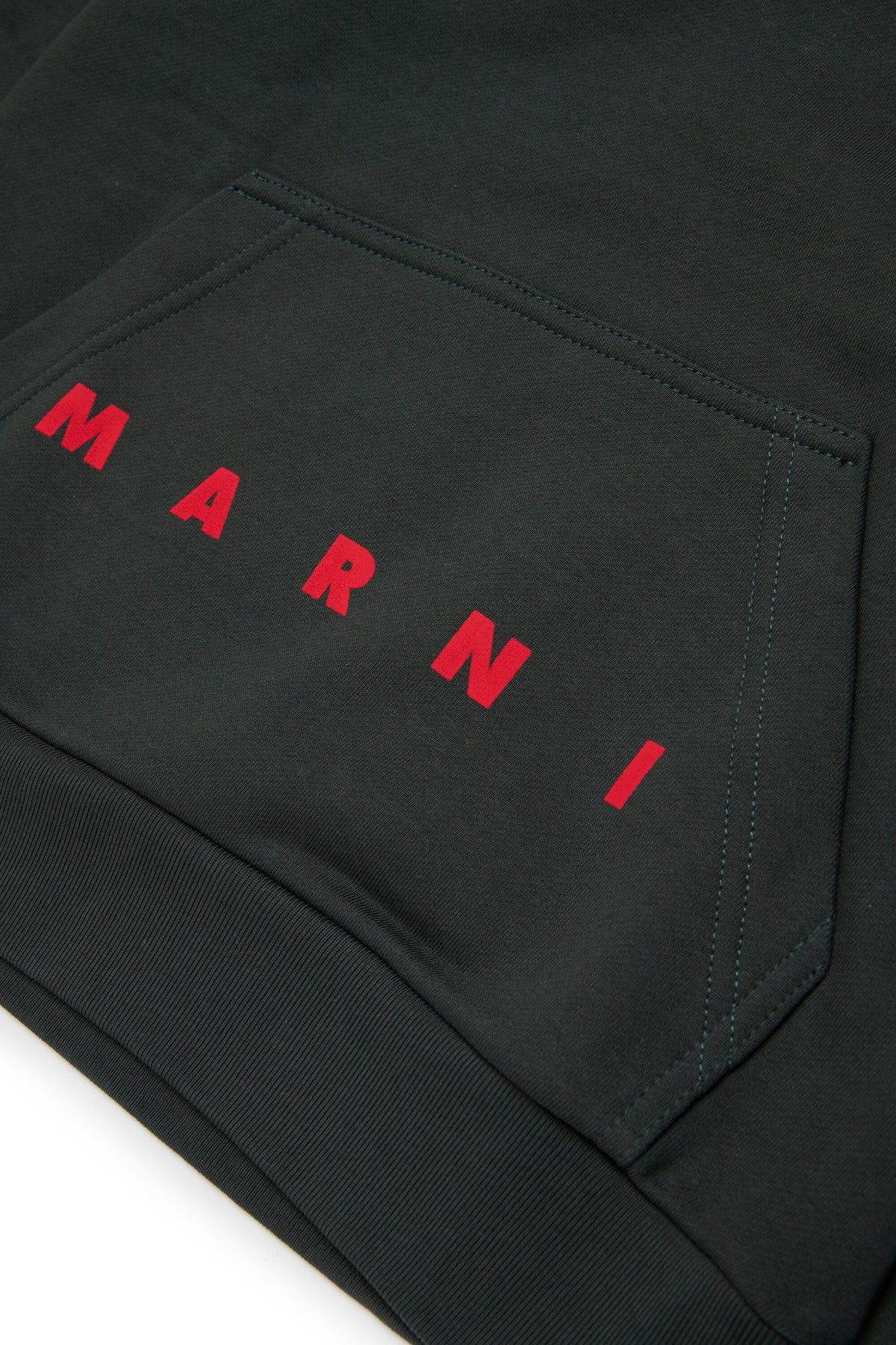Sweat à capuche avec logo