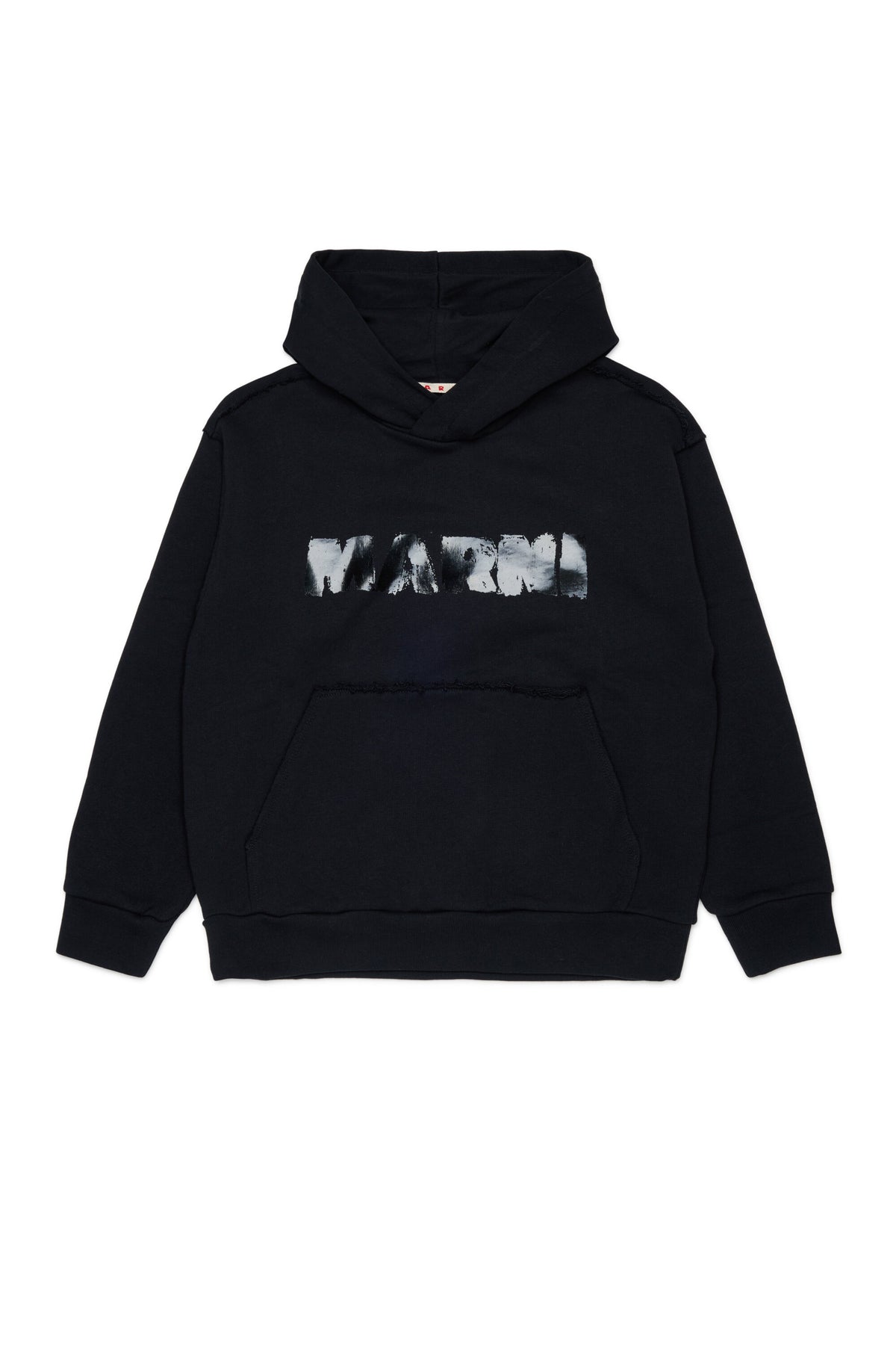 Sweat à capuche avec logo