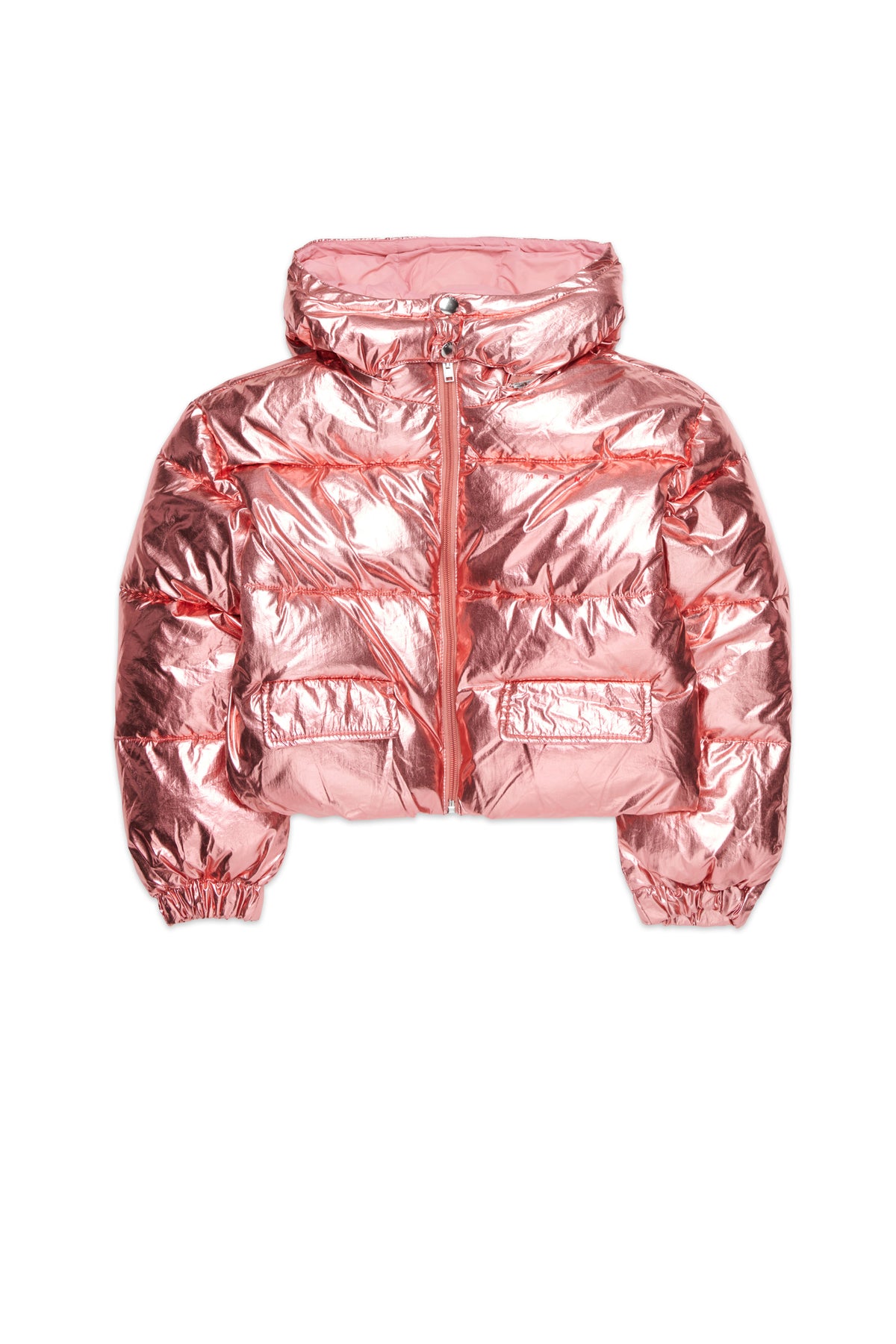 Padded jacket with printed logo