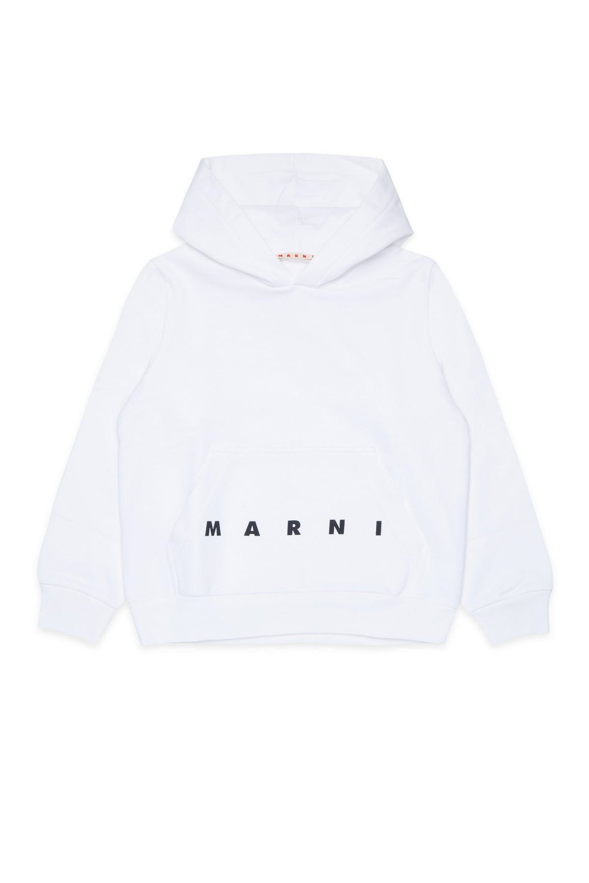 Sweat à capuche avec logo