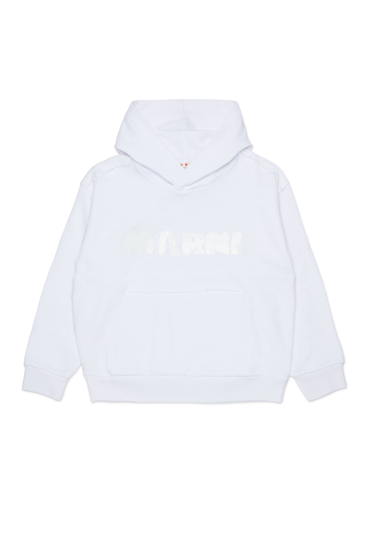 Sweat à capuche avec logo