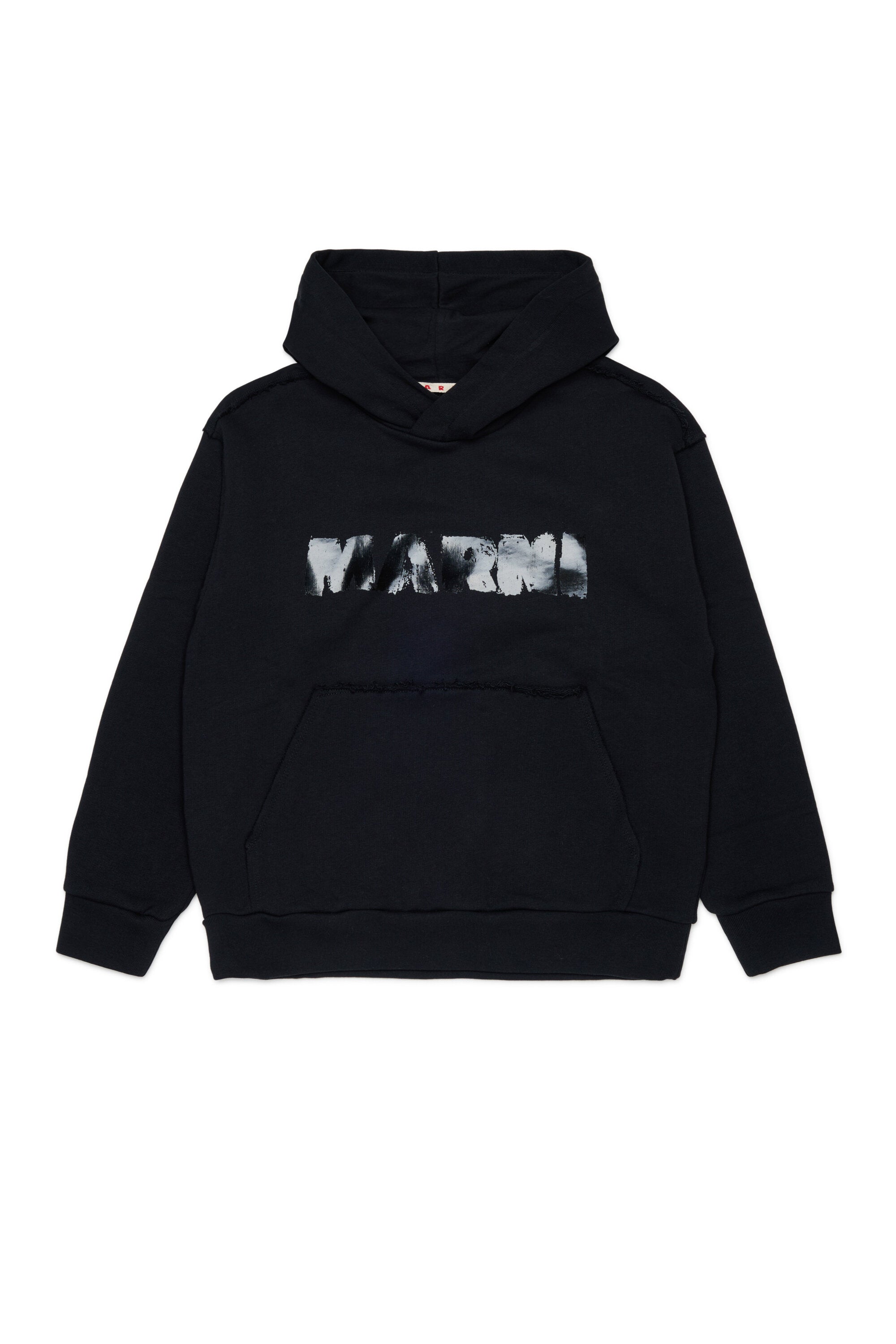 Sweat à capuche avec logo
